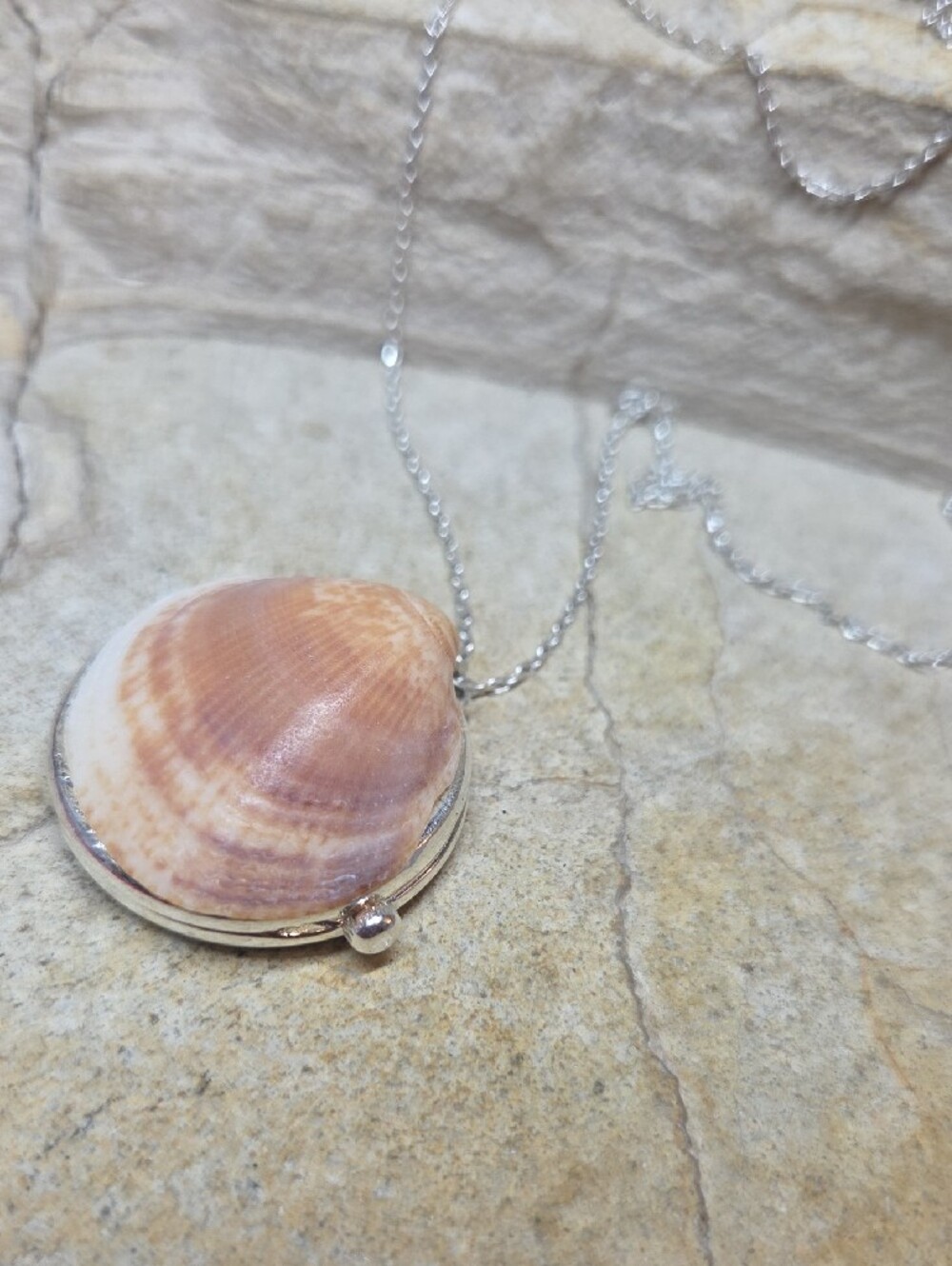 Natural Shell Pendant Necklace Locket in Tan and Silver - Women Jewelry Long